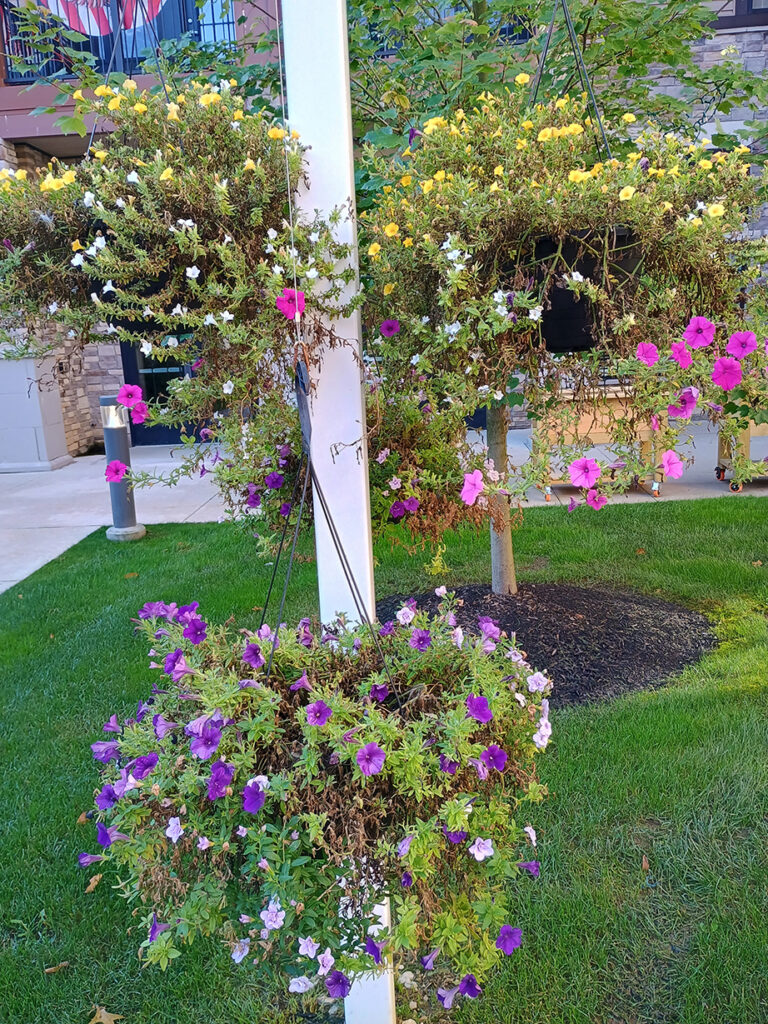 Discover how Vitalia Stow creates positive first impressions through thoughtful maintenance and a resident-inspired Eagle Scout courtyard project.